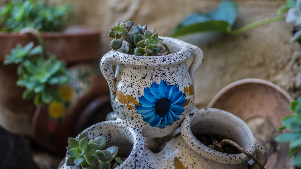 Pot de fleurs à Eus