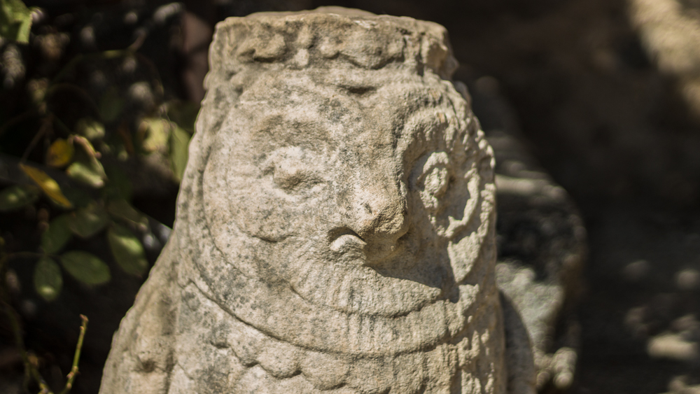 Sculpture de chouette à Eus