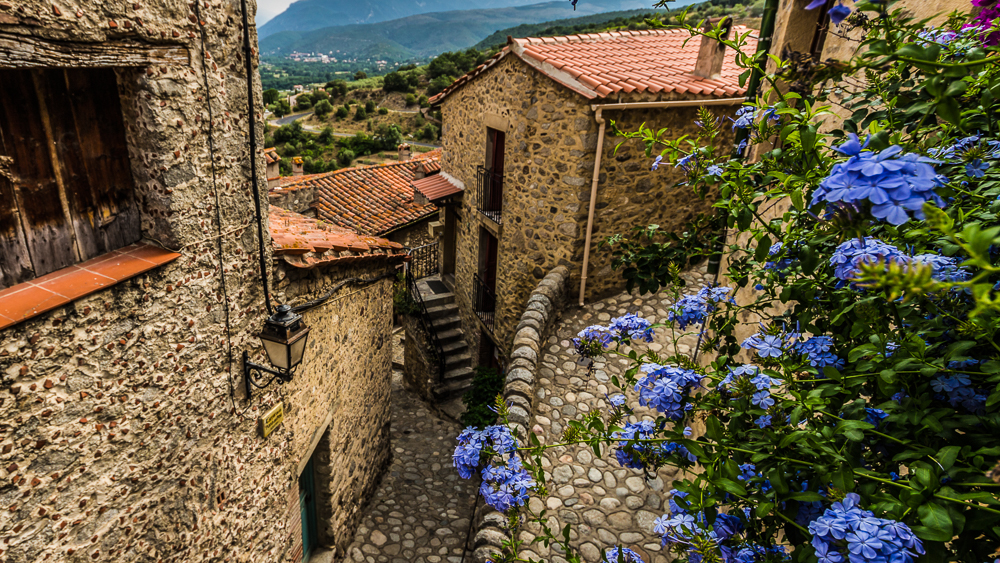 Détails fleuris dans les rues d'Eus