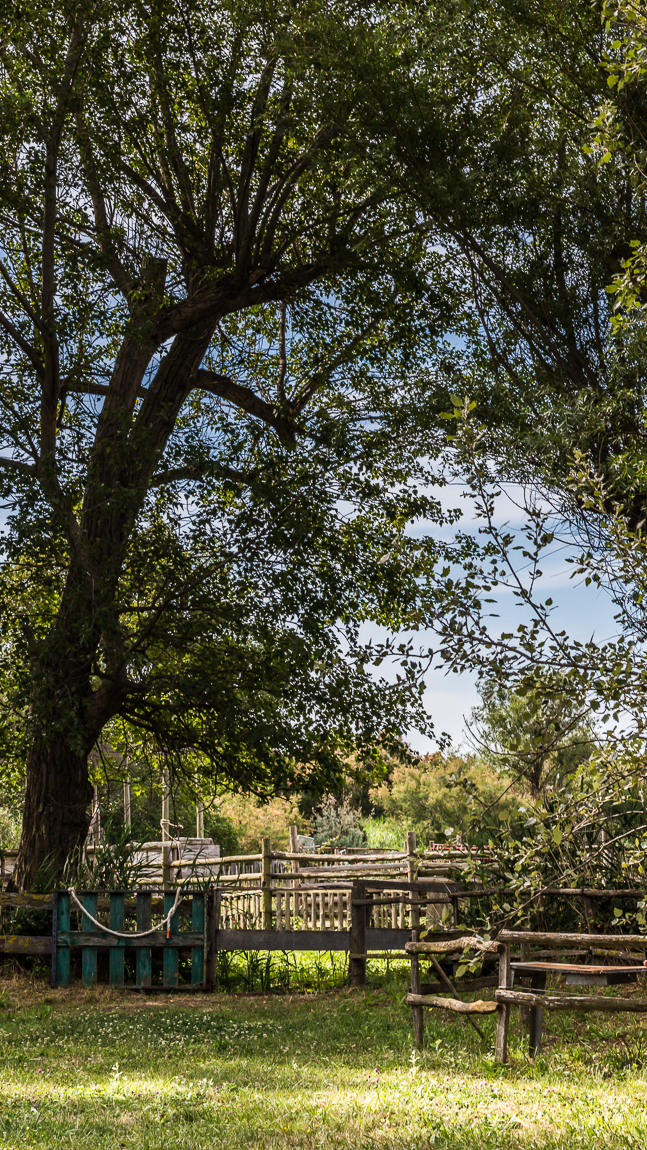 La manade tournebelle dans l'Aude