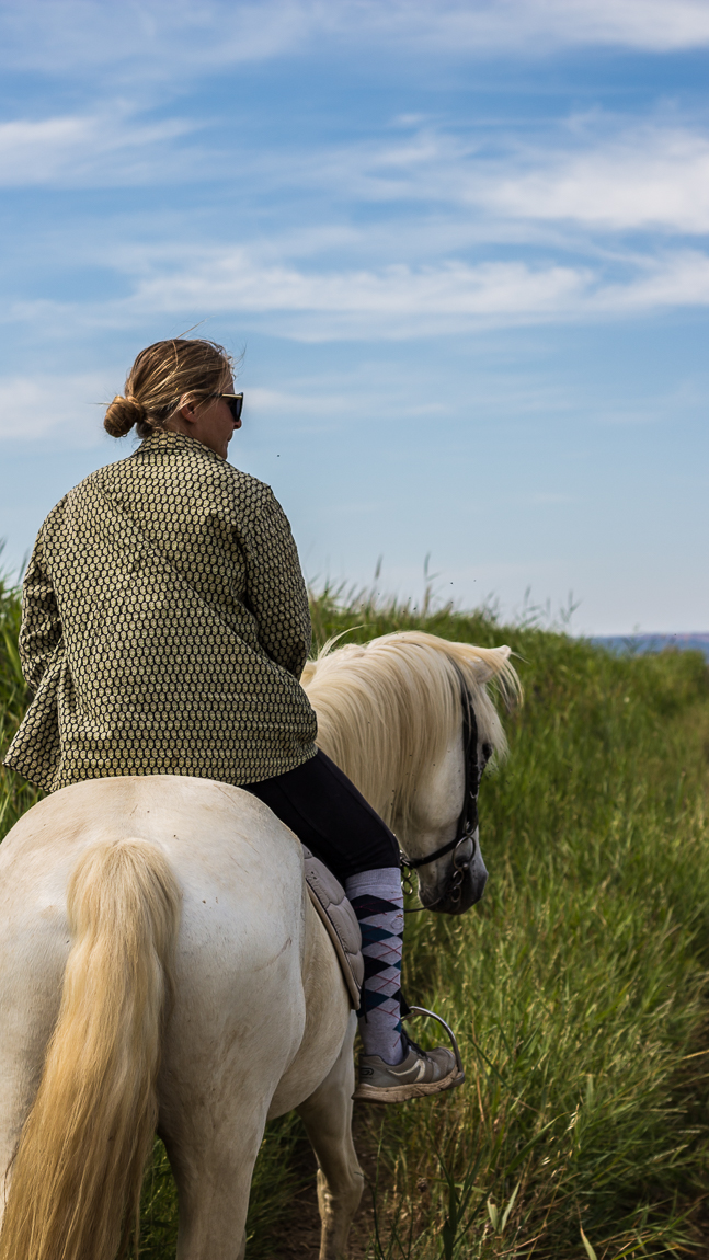 La petite camargue audoise : la manade Tournebelle