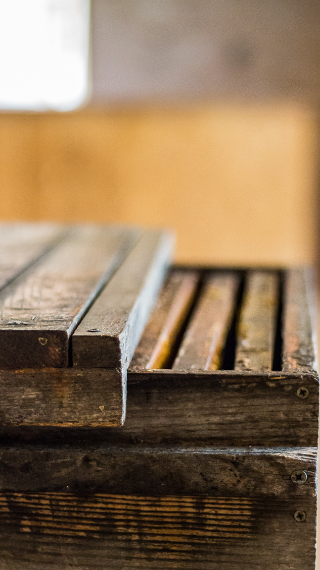 Ruche à la miellerie des clauses à Montseret