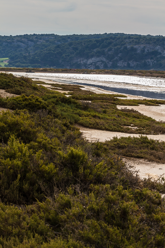 Balade ornithologique avec l'association Aude Nature