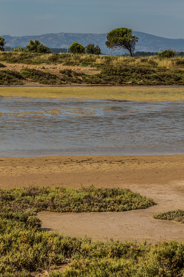 Balade ornithologique avec l'association Aude Nature