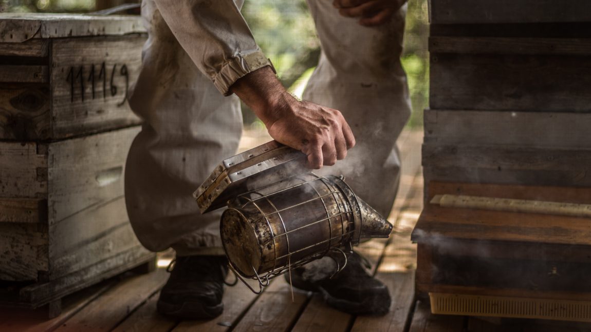 PARC NATUREL NARBONNAISE