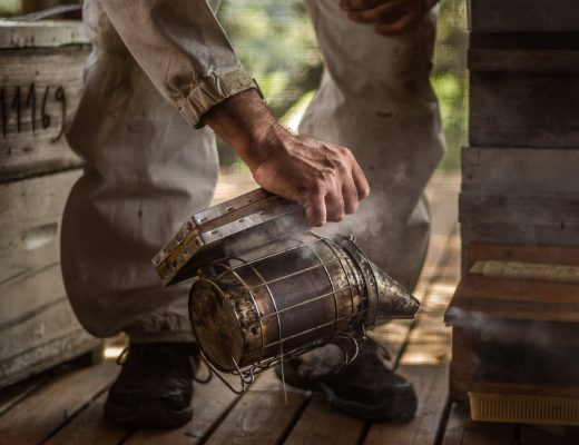 PARC NATUREL NARBONNAISE