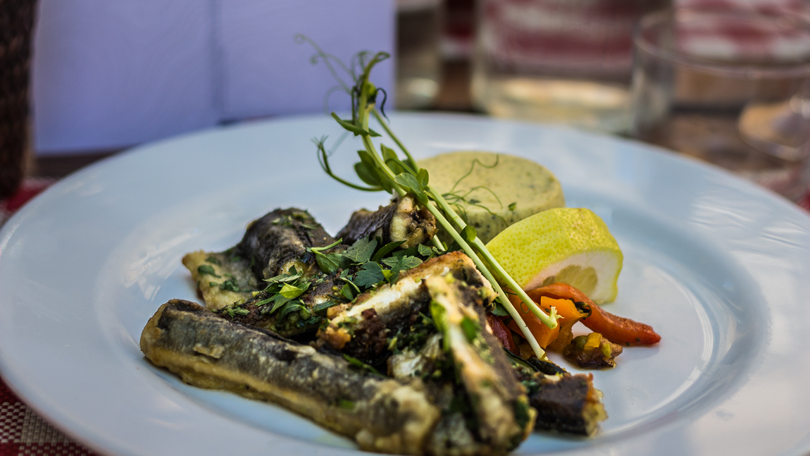 Fricassée d'anguilles à Peyriac de mer