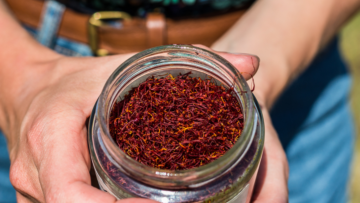 Pot de safran produit localement à Gruissan