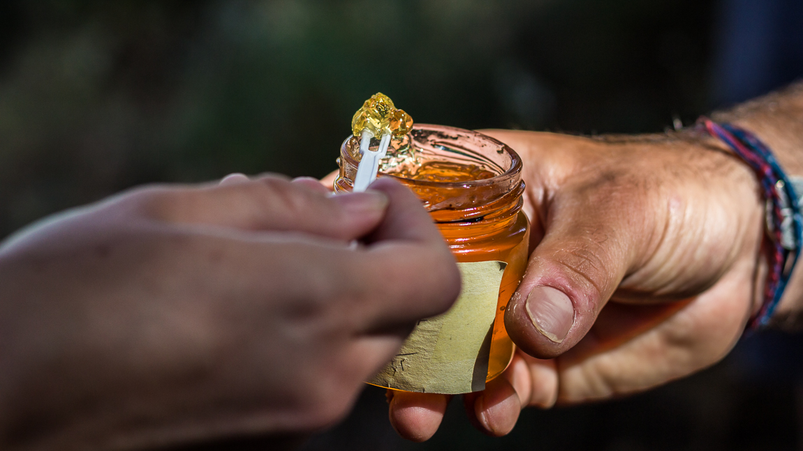 Gelée de safran de Gruissan