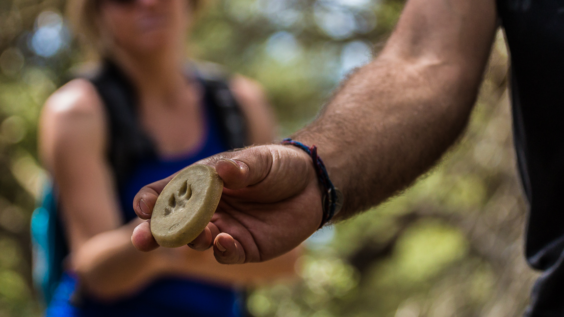 Guide de randonnée ludique dans l'Aude