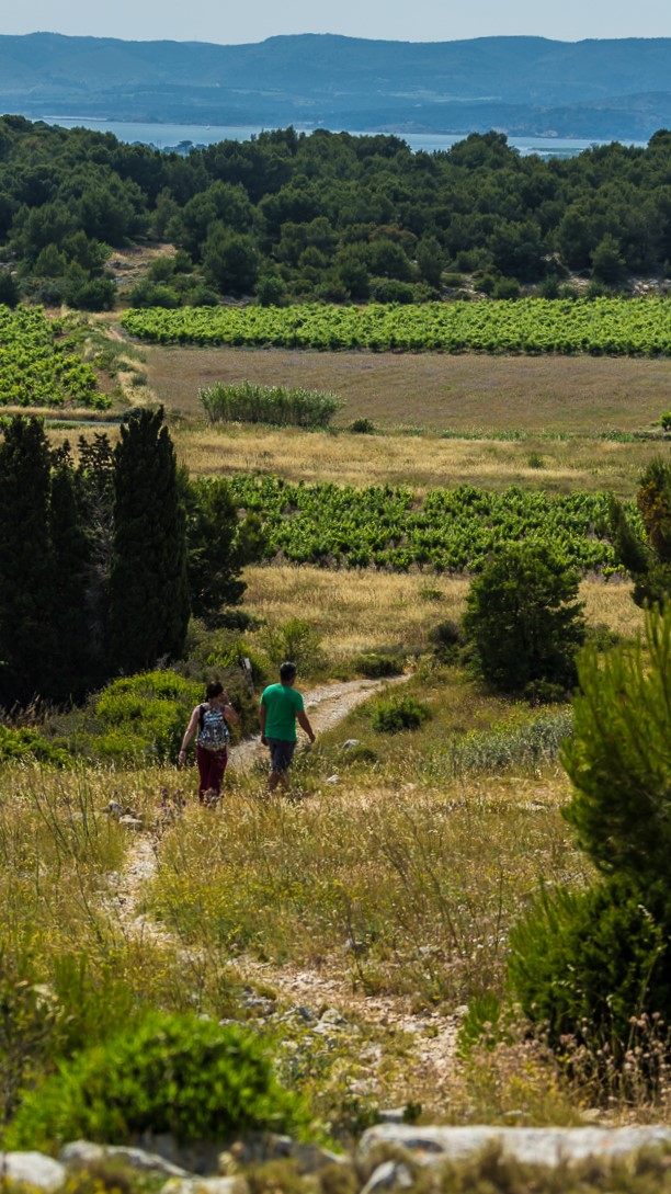 Sentier sur les hauteurs de Gruissan