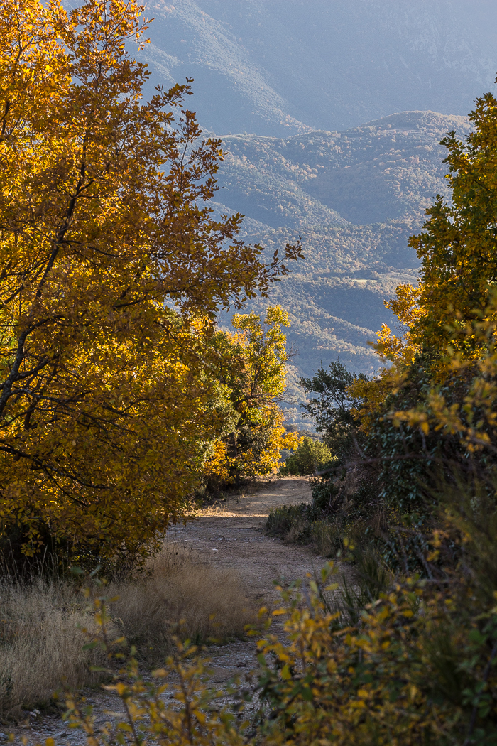 sentier de balade à Arboussols