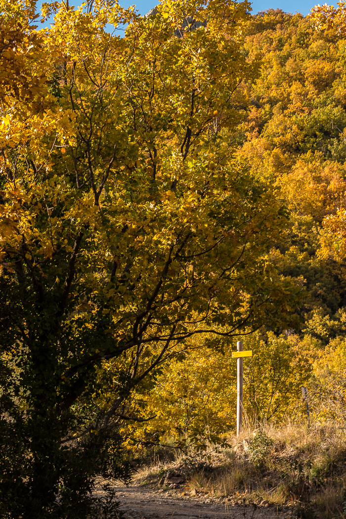 Itinéraire de randonnée balisée