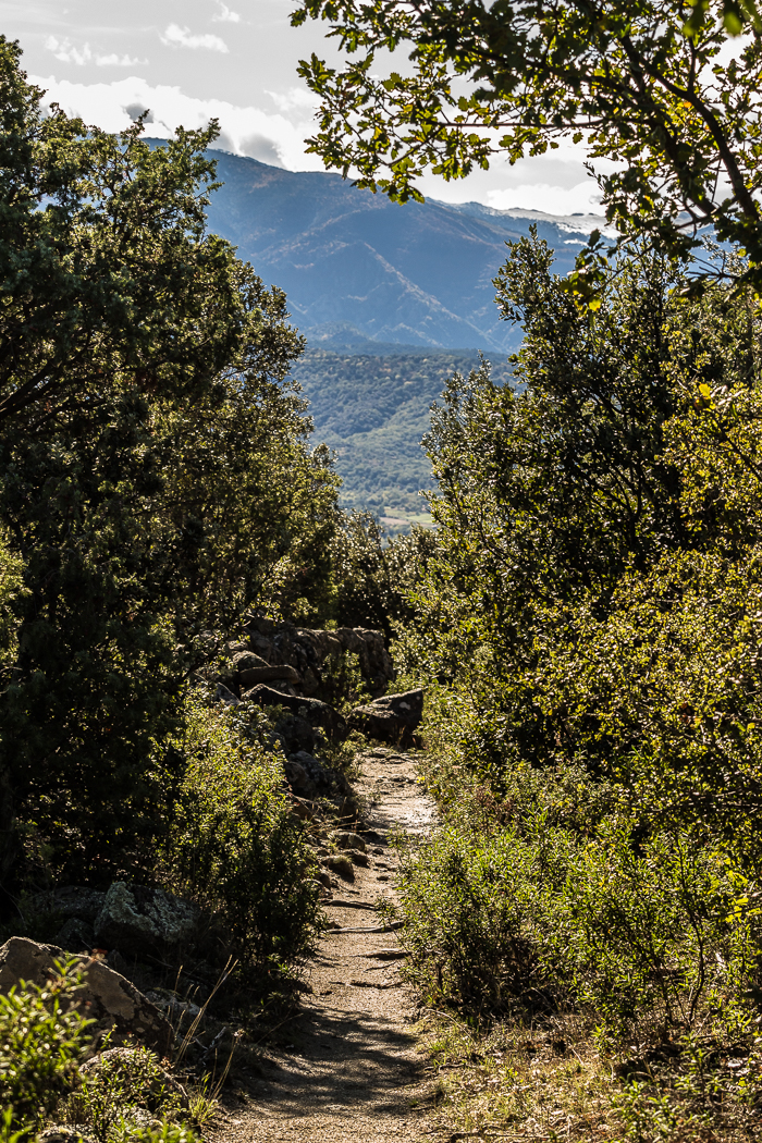 sentier de balade dans le Conflent