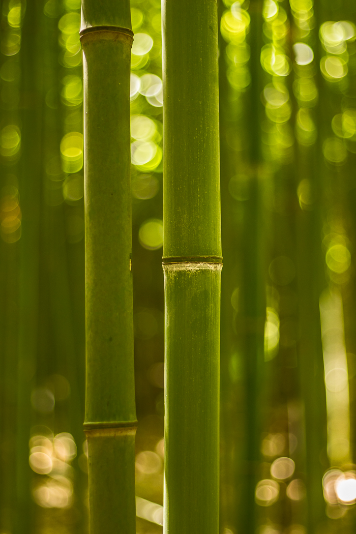 les plus beaux jardins du 66