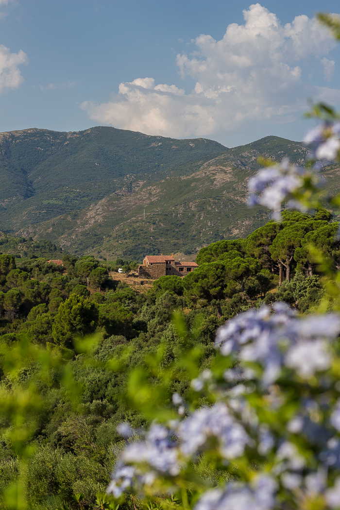 les plus beaux jardins du 66