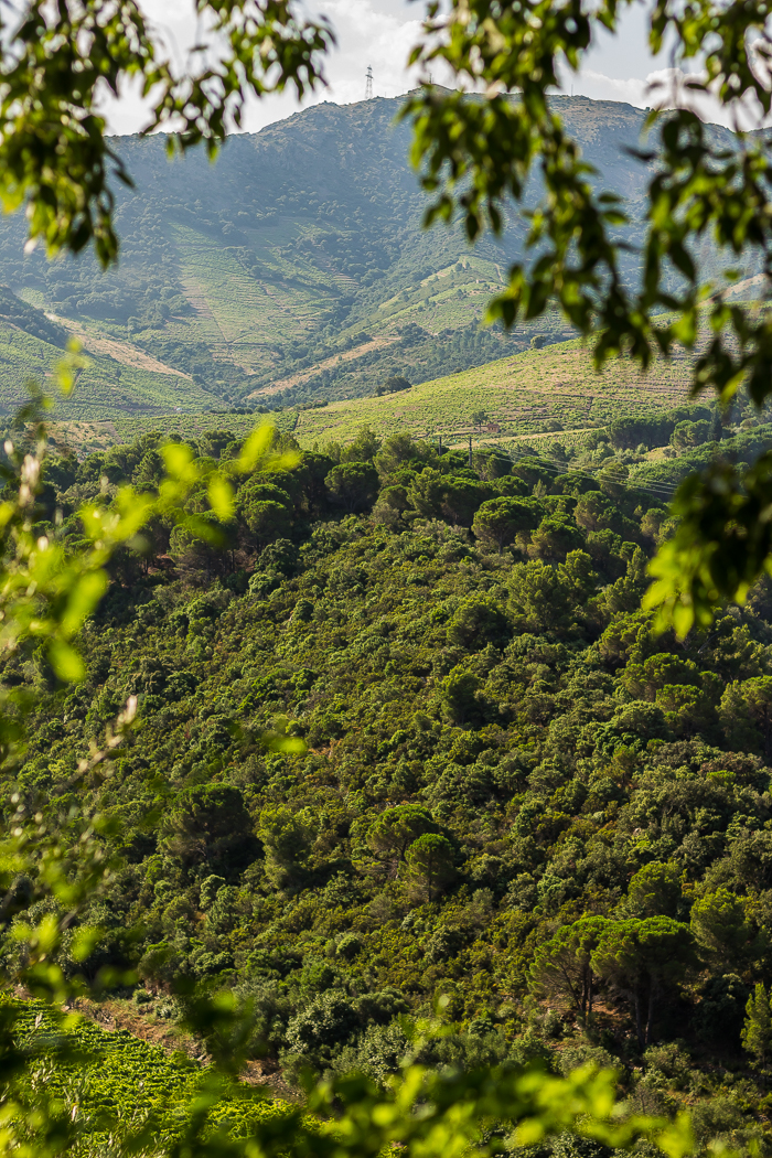 les plus beaux jardins du 66