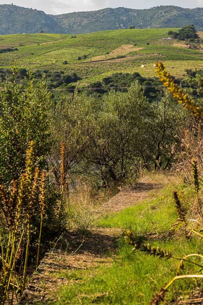 les plus beaux jardins du 66