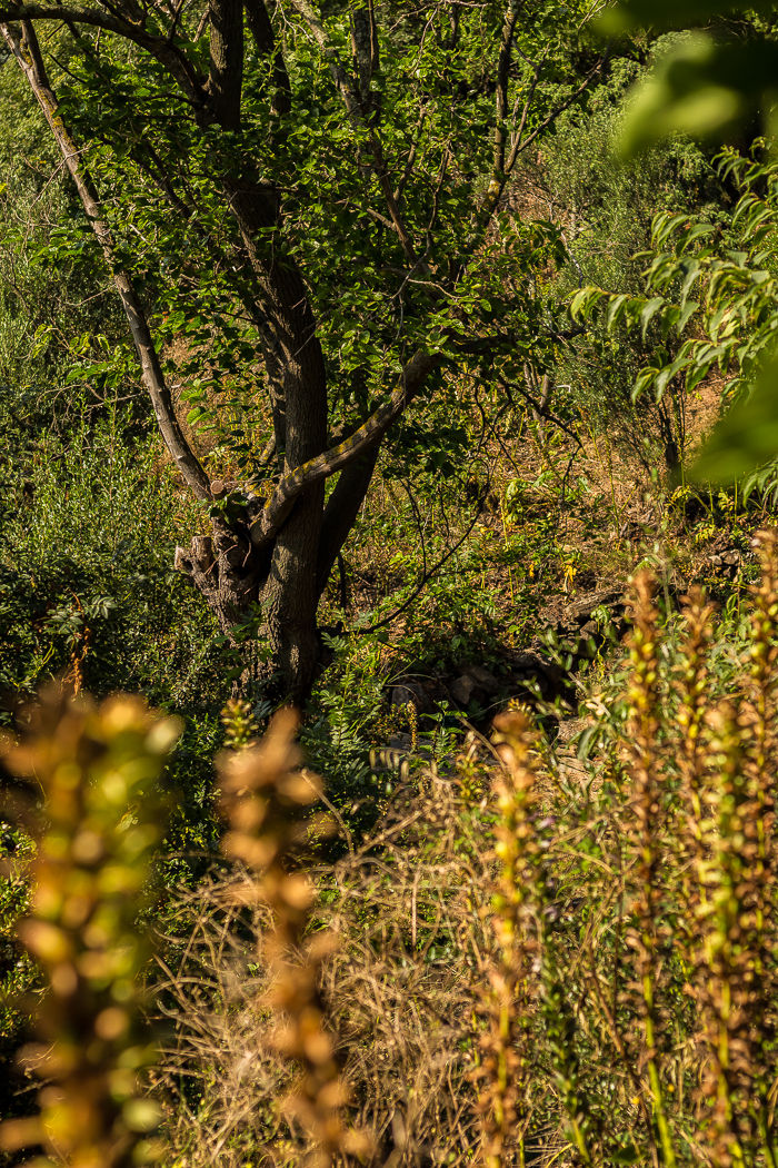 les plus beaux jardins du 66