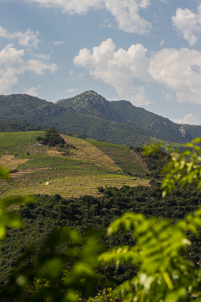 les plus beaux jardins du 66