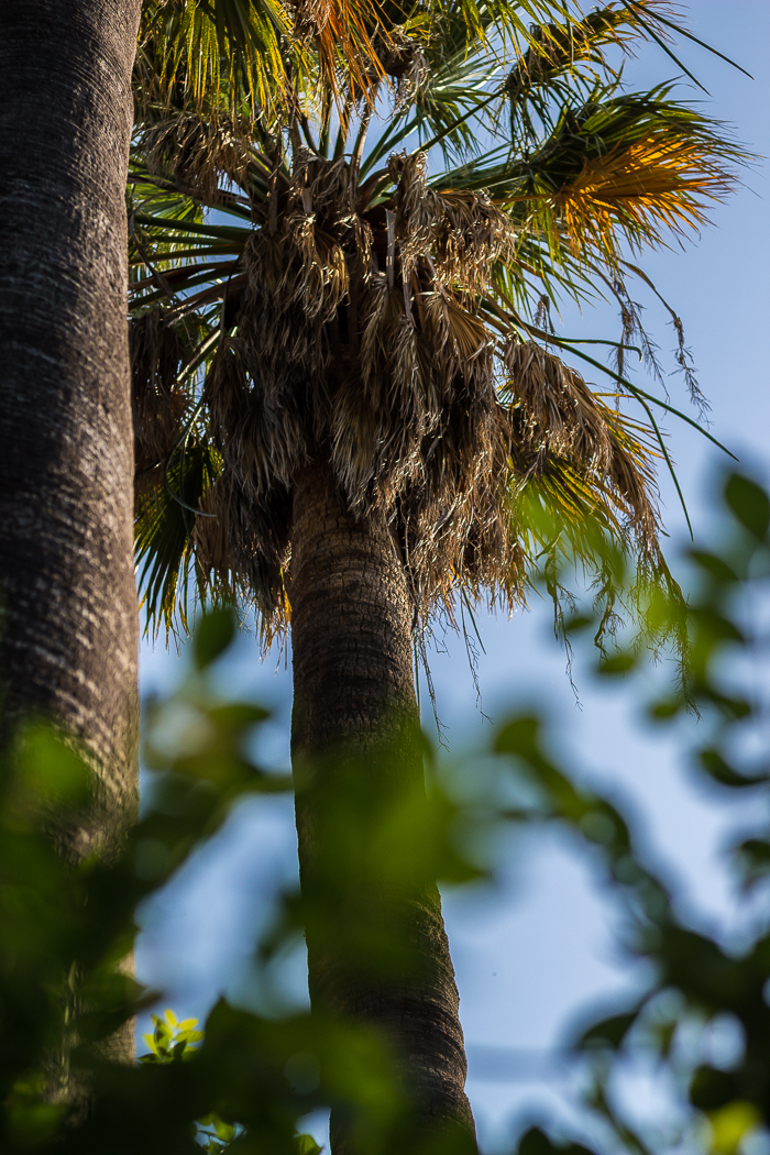 les plus beaux jardins du 66