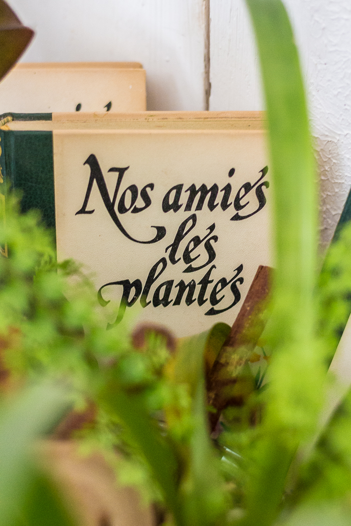 Thuir 66 Village Bonnes Adresses