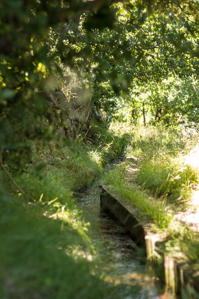 CANAL DE MOLITG Randonnée Balade