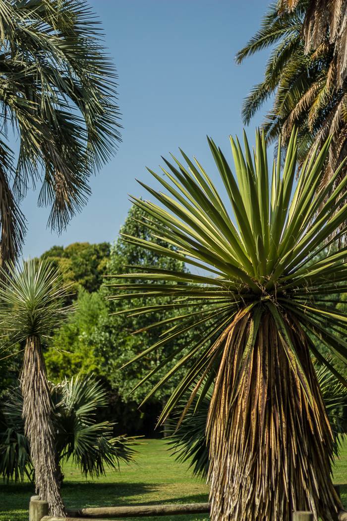 Jardins Pyrénées-Orientales 66