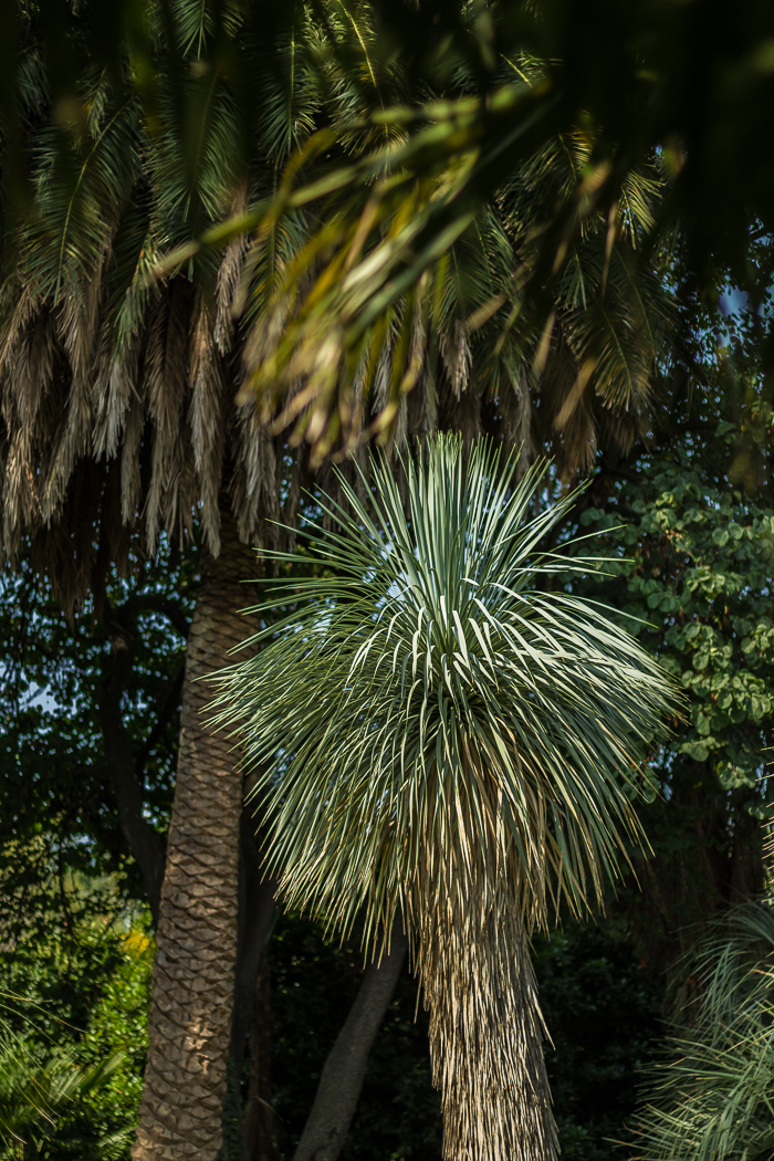 Jardins Pyrénées-Orientales 66