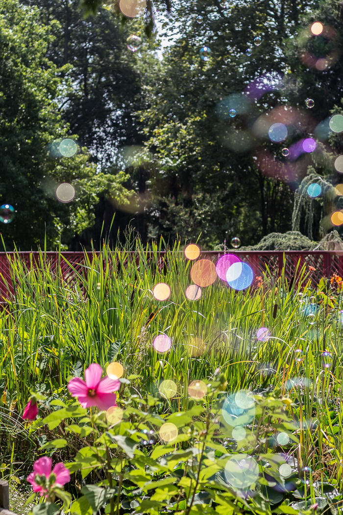 Jardins Pyrénées-Orientales 66
