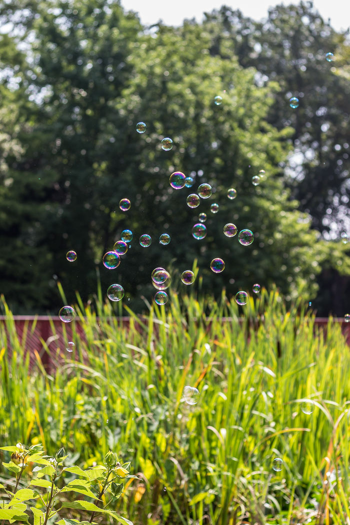 Jardins Pyrénées-Orientales 66