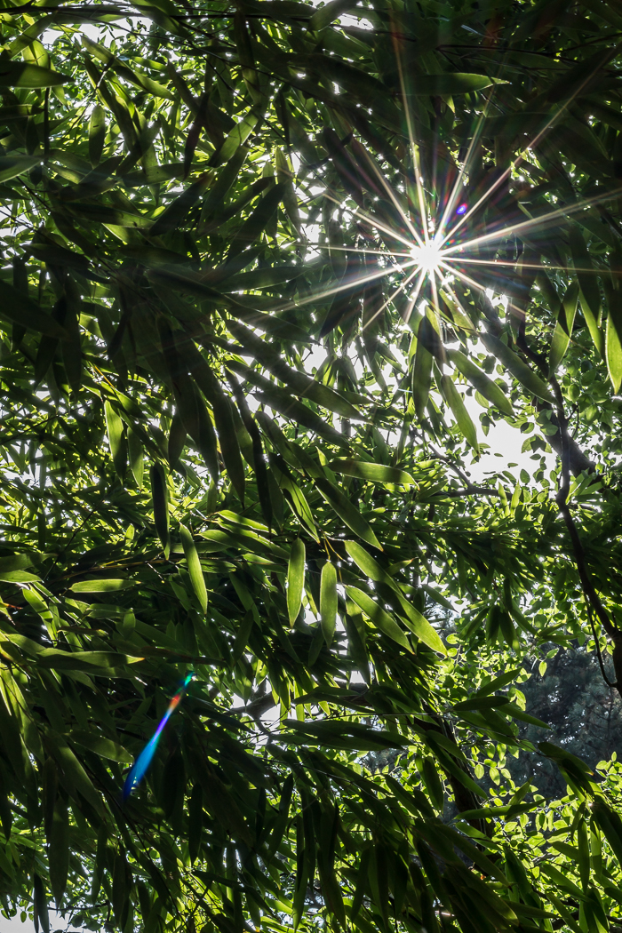 Jardins Pyrénées-Orientales 66