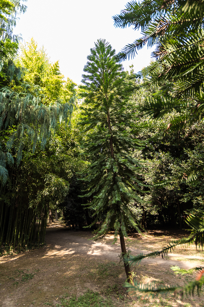 Jardins Pyrénées-Orientales 66