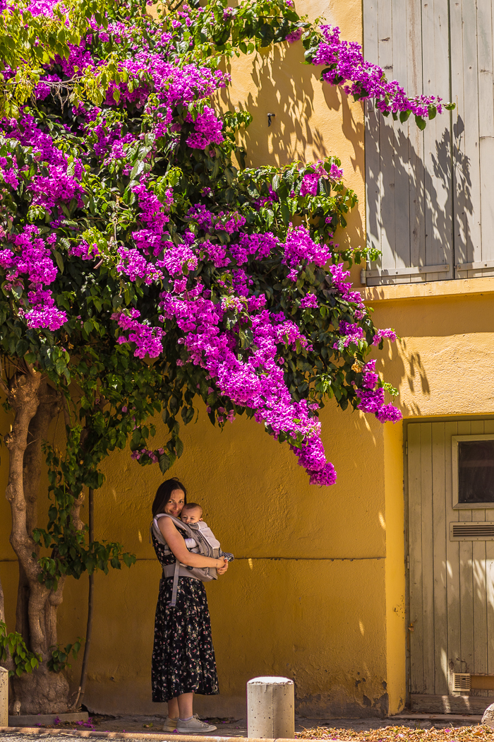 Rue fleurie à Ille sur Têt