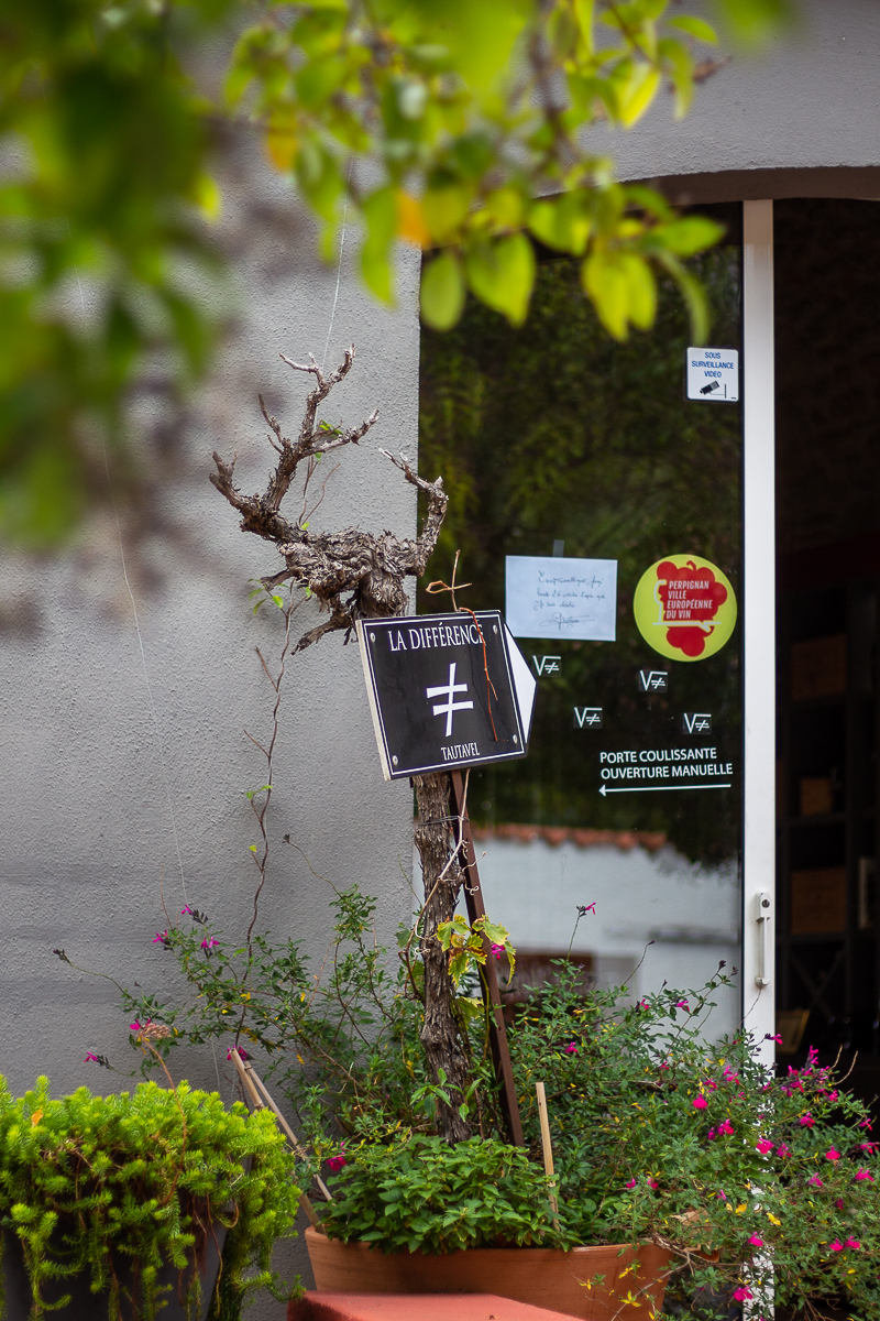 domaine la différence à Tautavel