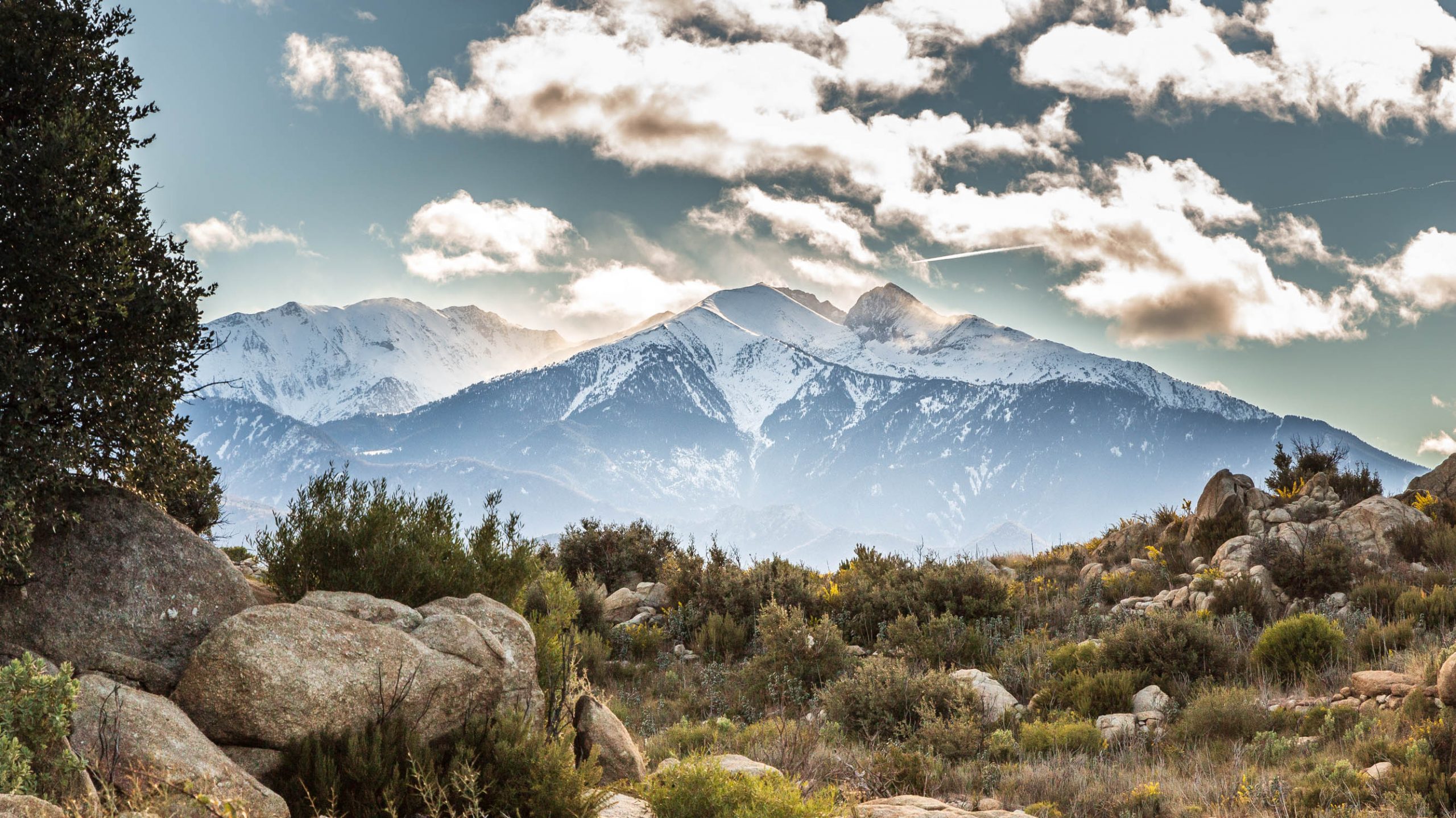 Vue sur le Canigou depuis le Puig Pedrous