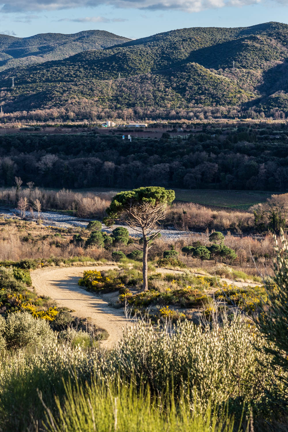 Piste à Ille sur Têt