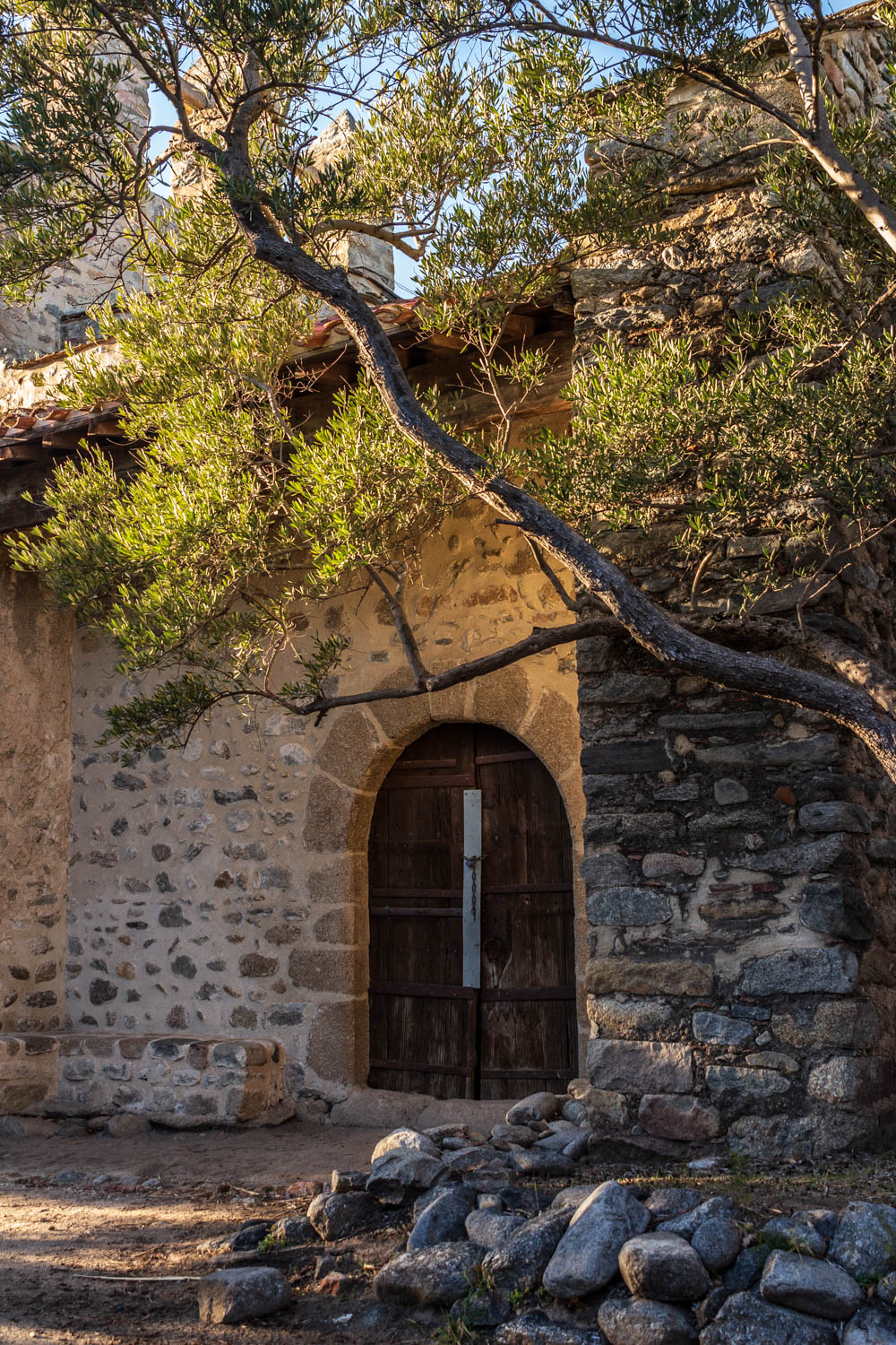 église de casenoves à Ille sur Têt