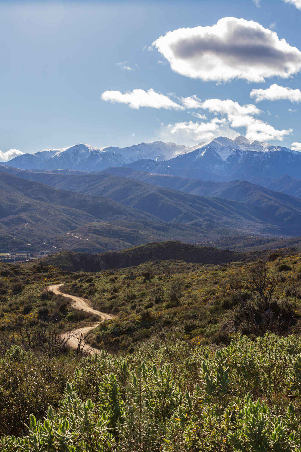 sentier vers le Puig Pedrous
