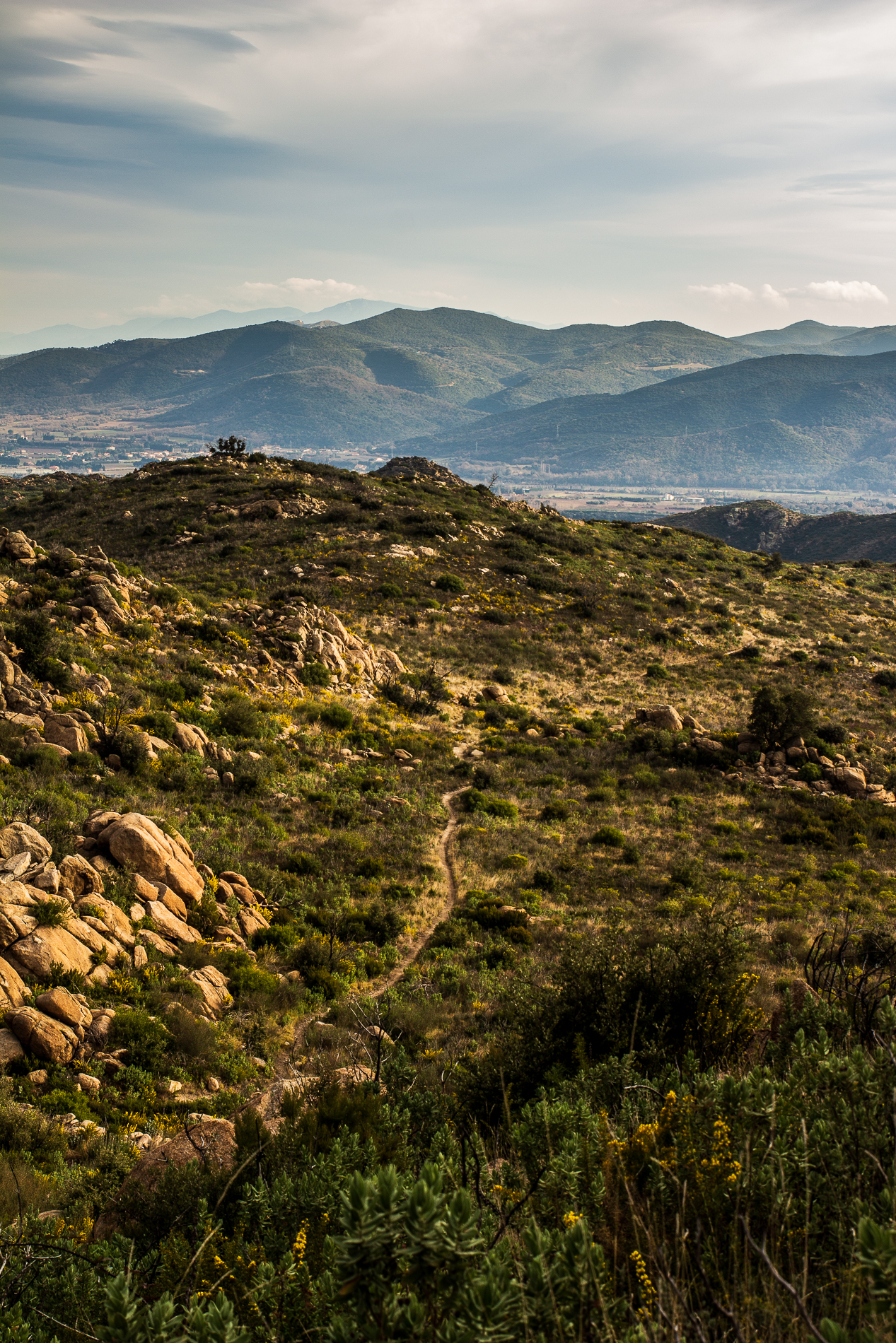 Maquis des Pyrénées Orientales