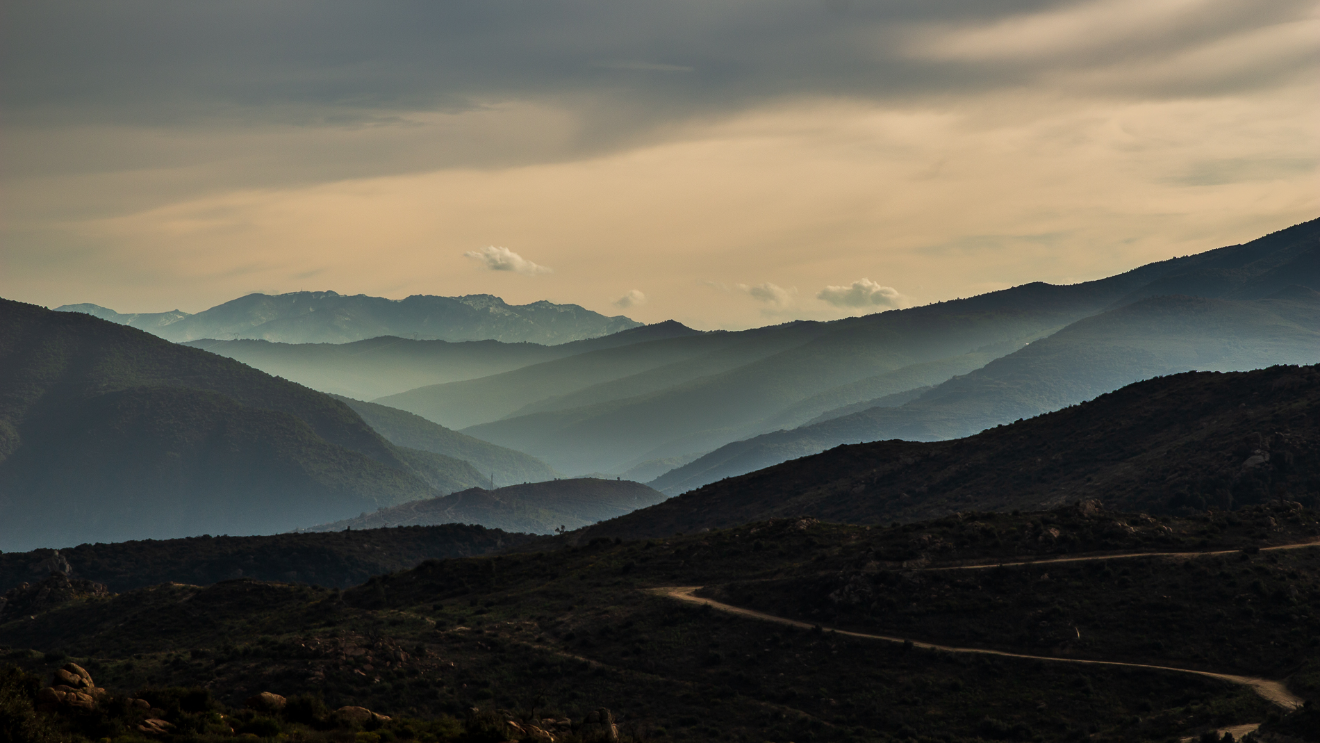 PUIG PEDROUS MONTALBA randonnée