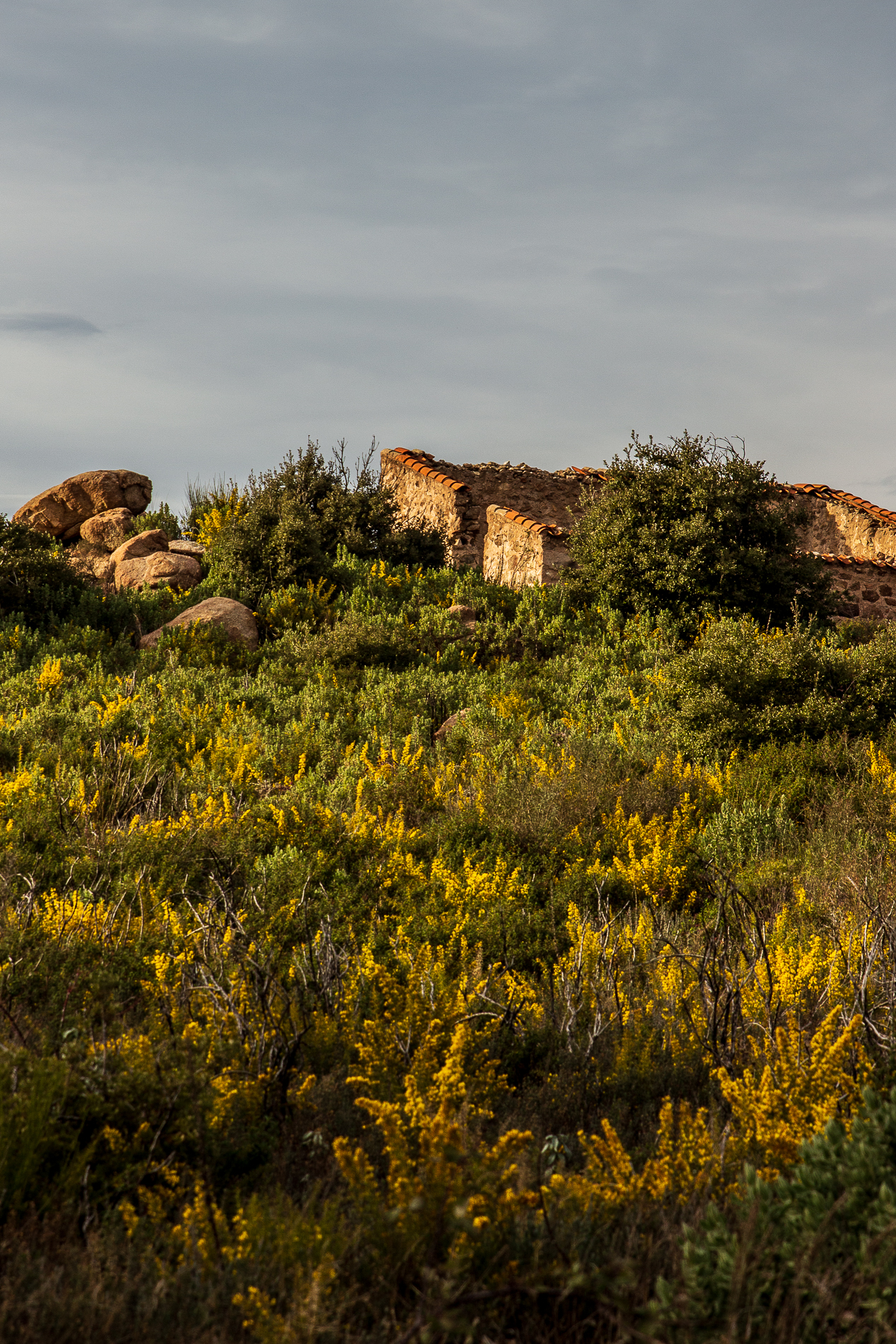 Au détour du sentier après le puig Pedrous