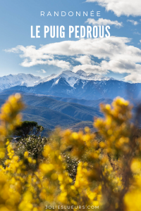 PUIG PEDROUS PINTEREST(3)