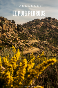 PUIG PEDROUS PINTEREST(3)