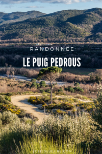 PUIG PEDROUS PINTEREST(3)