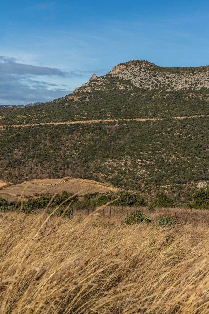 sentier des Dolmens en Fenouillèdes