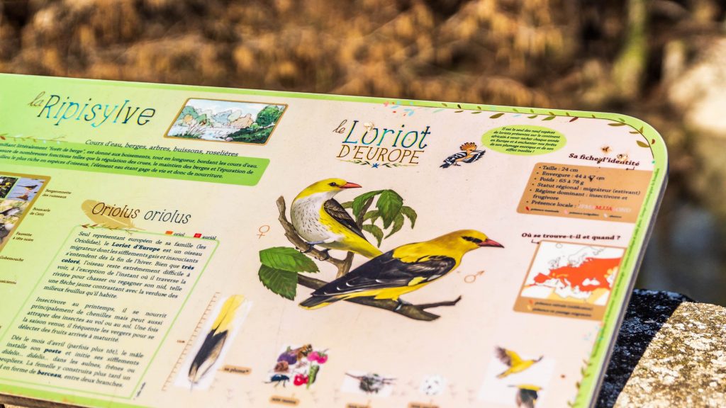 Panneau didactique sentier des oiseaux Ansignan