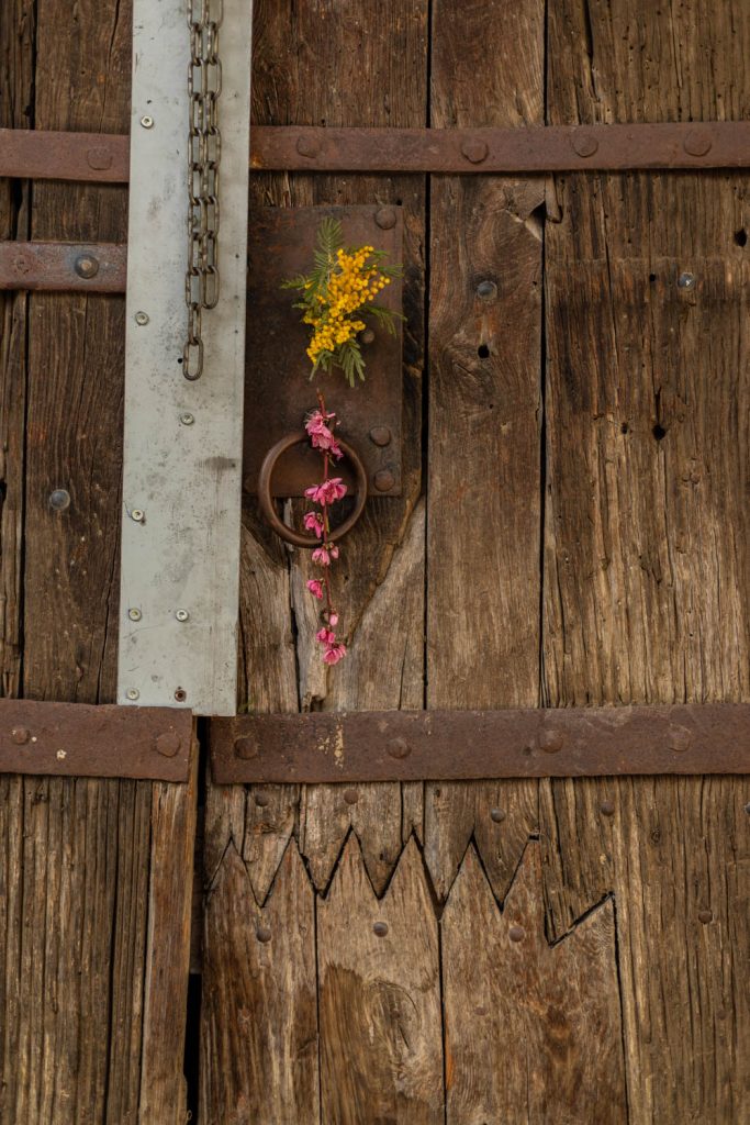 Vestiges de Casenoves à Ille sur Têt