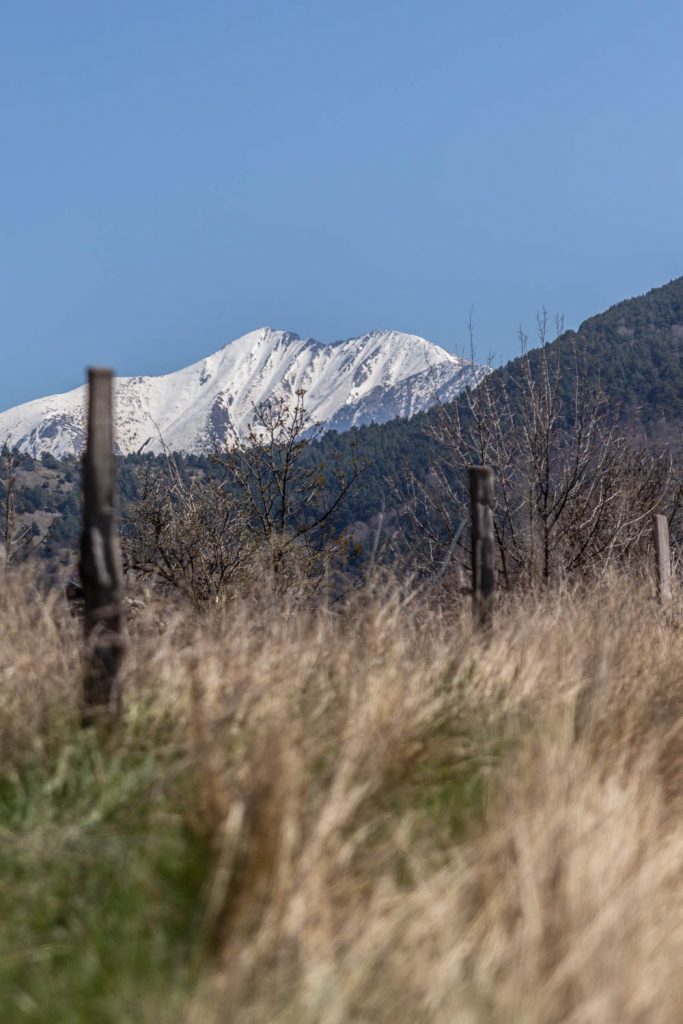 Vue sur le Canigou depuis le Hameau d'En