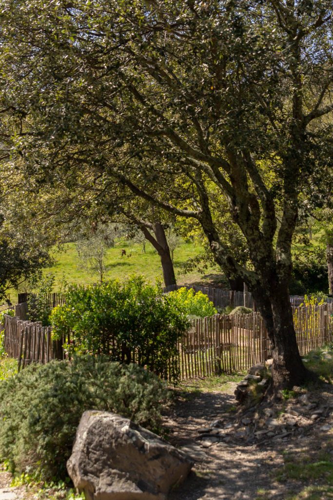 Jardin potager du Prieuré de Serrabone